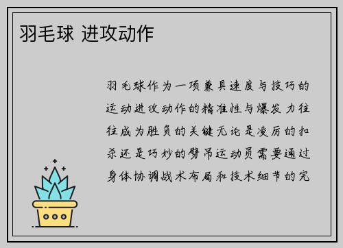 羽毛球 进攻动作