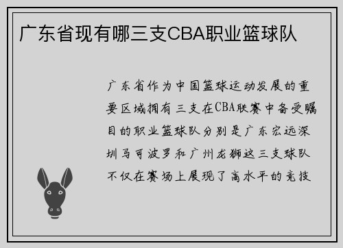 广东省现有哪三支CBA职业篮球队